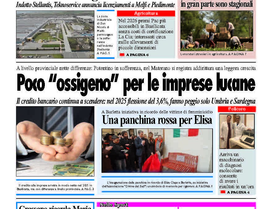 Domenica 15 febbraio 2026
